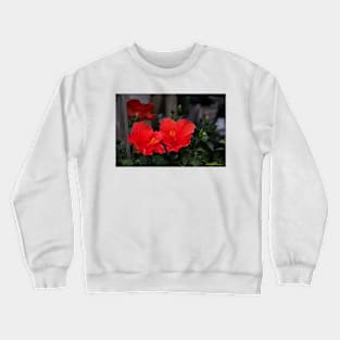 Hibiscus Relations Crewneck Sweatshirt